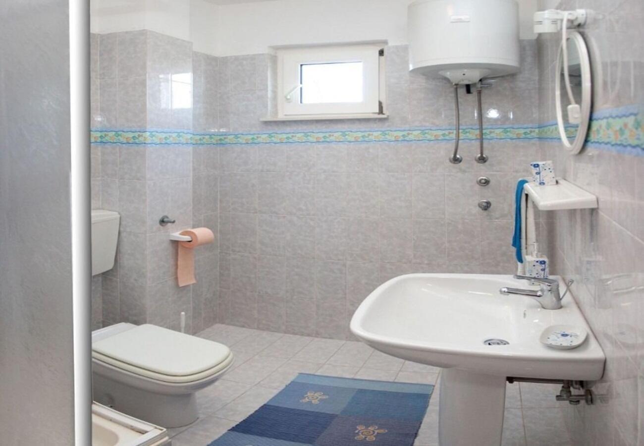 טרוגיר Apartments Filip מראה חיצוני תמונה