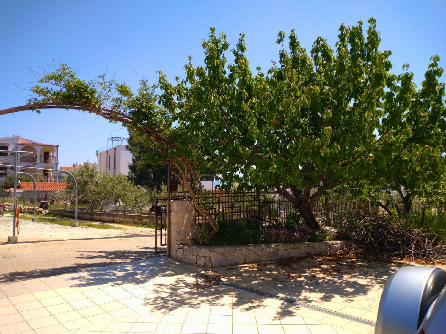 טרוגיר Apartments Filip מראה חיצוני תמונה